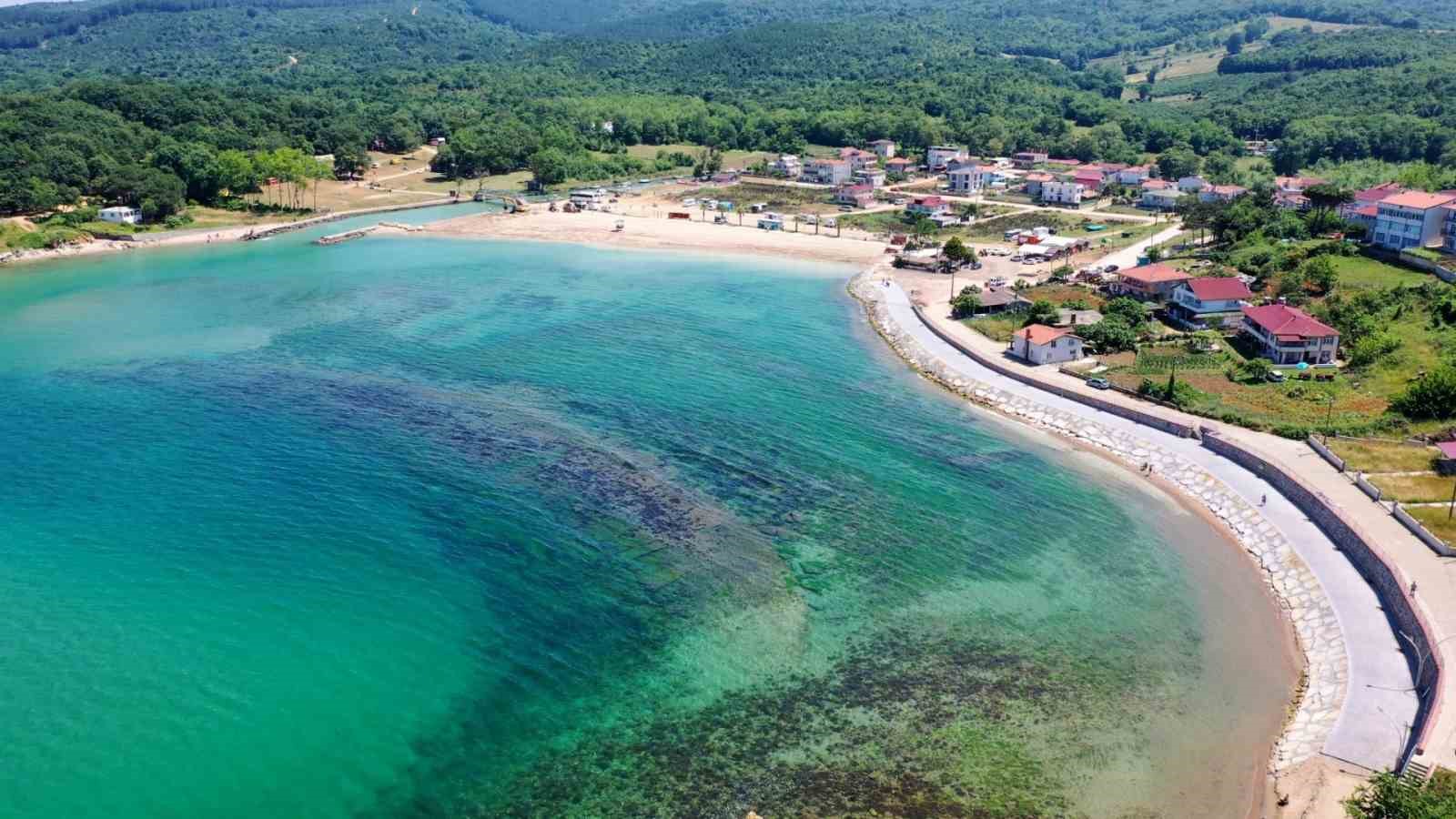 20240616aw229182 0.jpg