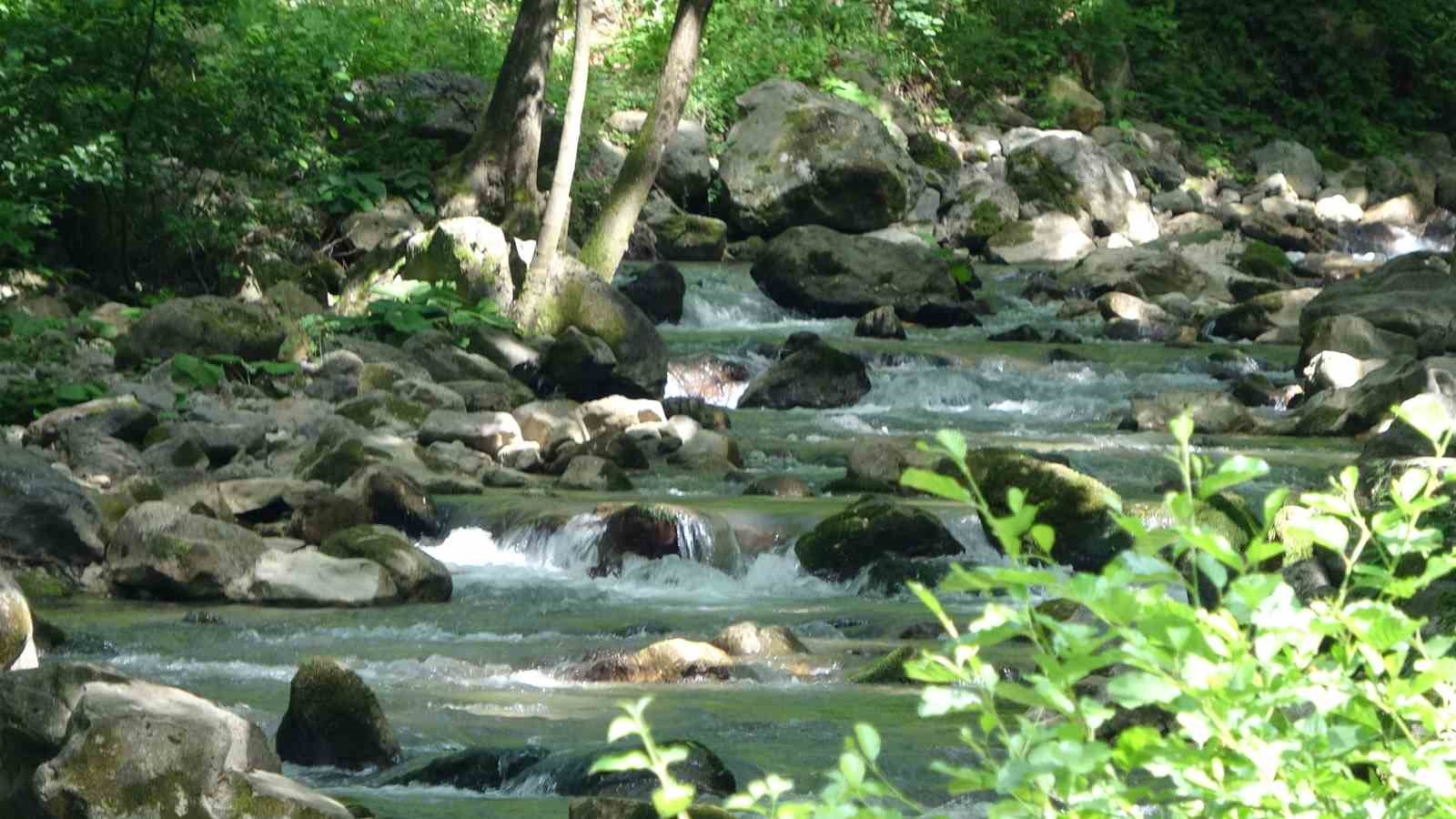 20240617aw229501 0.jpg