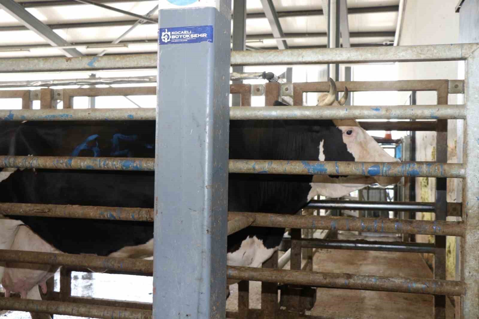 20240617aw229570 0.jpg