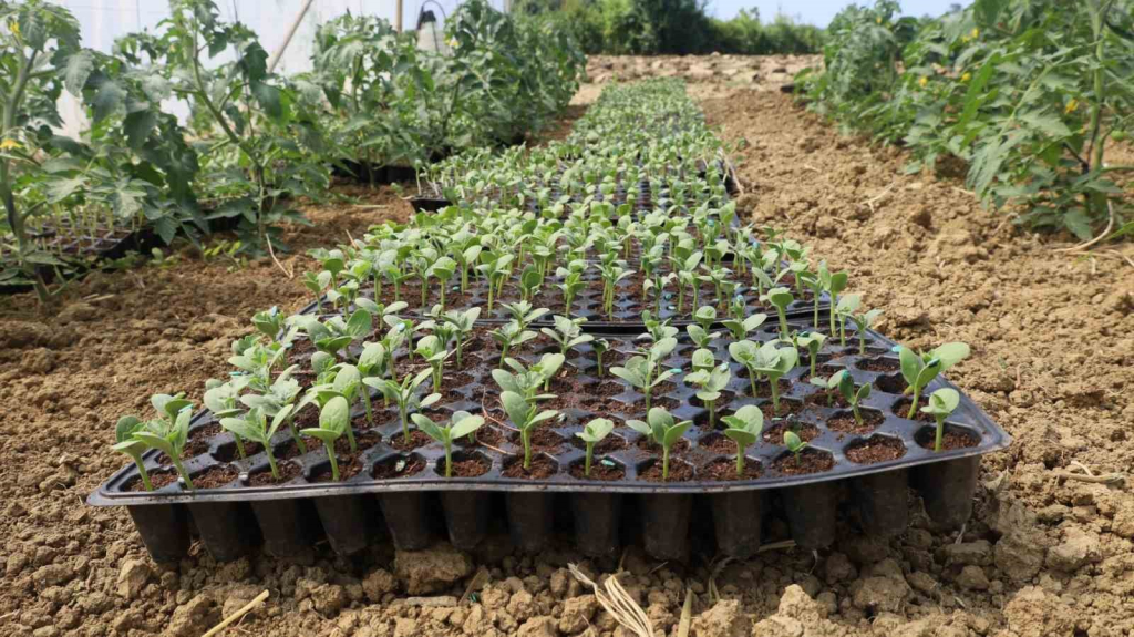 20240623aw232241 0.jpg