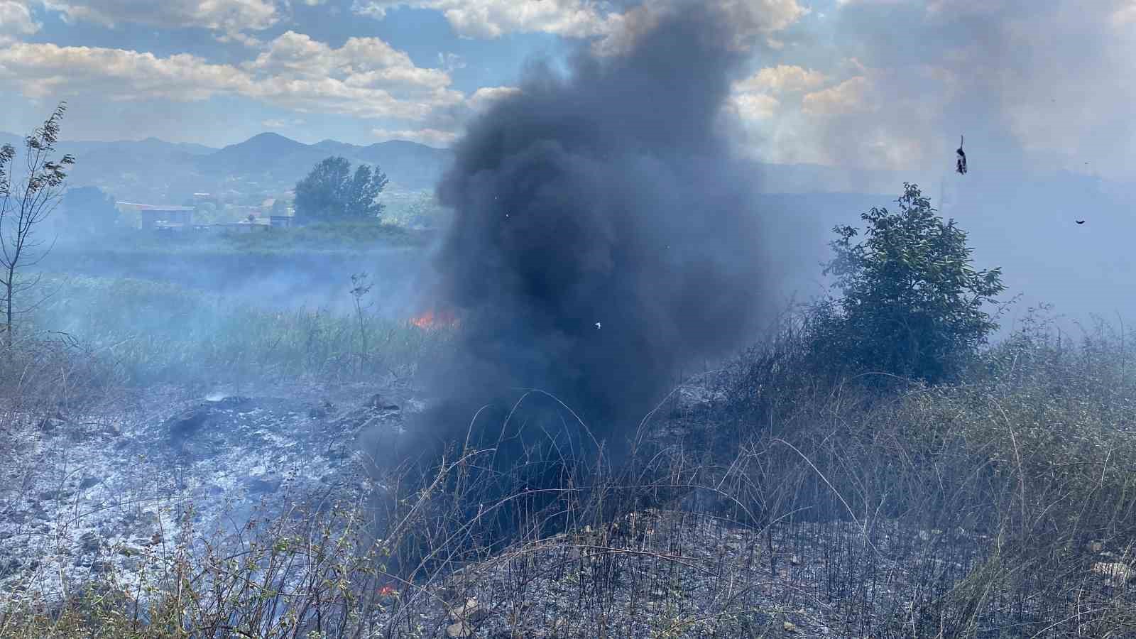 20240626aw234508 0.jpg