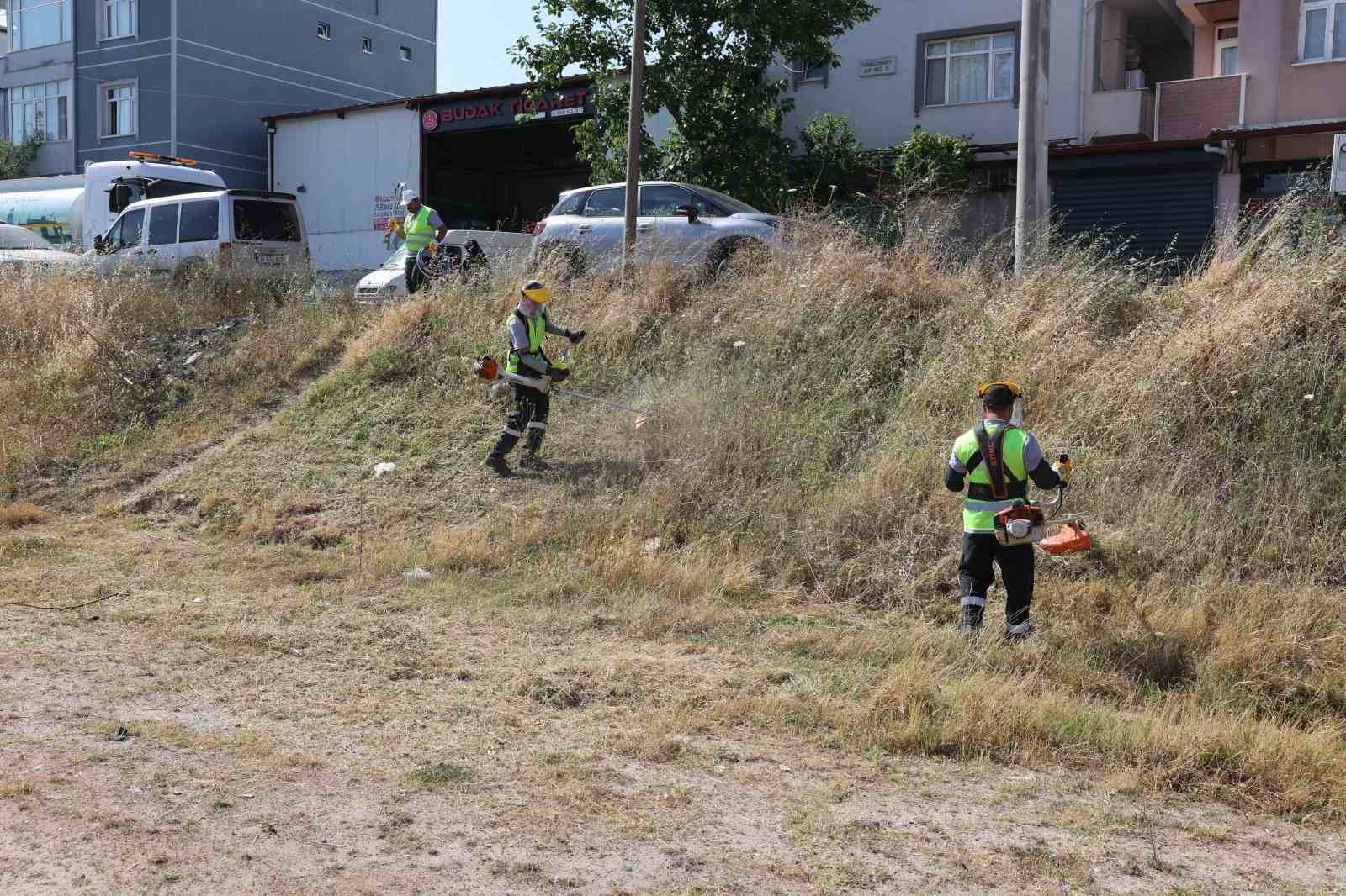 20240628aw235974 0.jpg