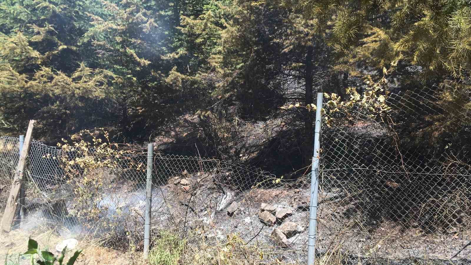 20240629aw236572 0.jpg