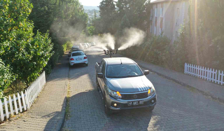 20240702aw238319 0.jpg