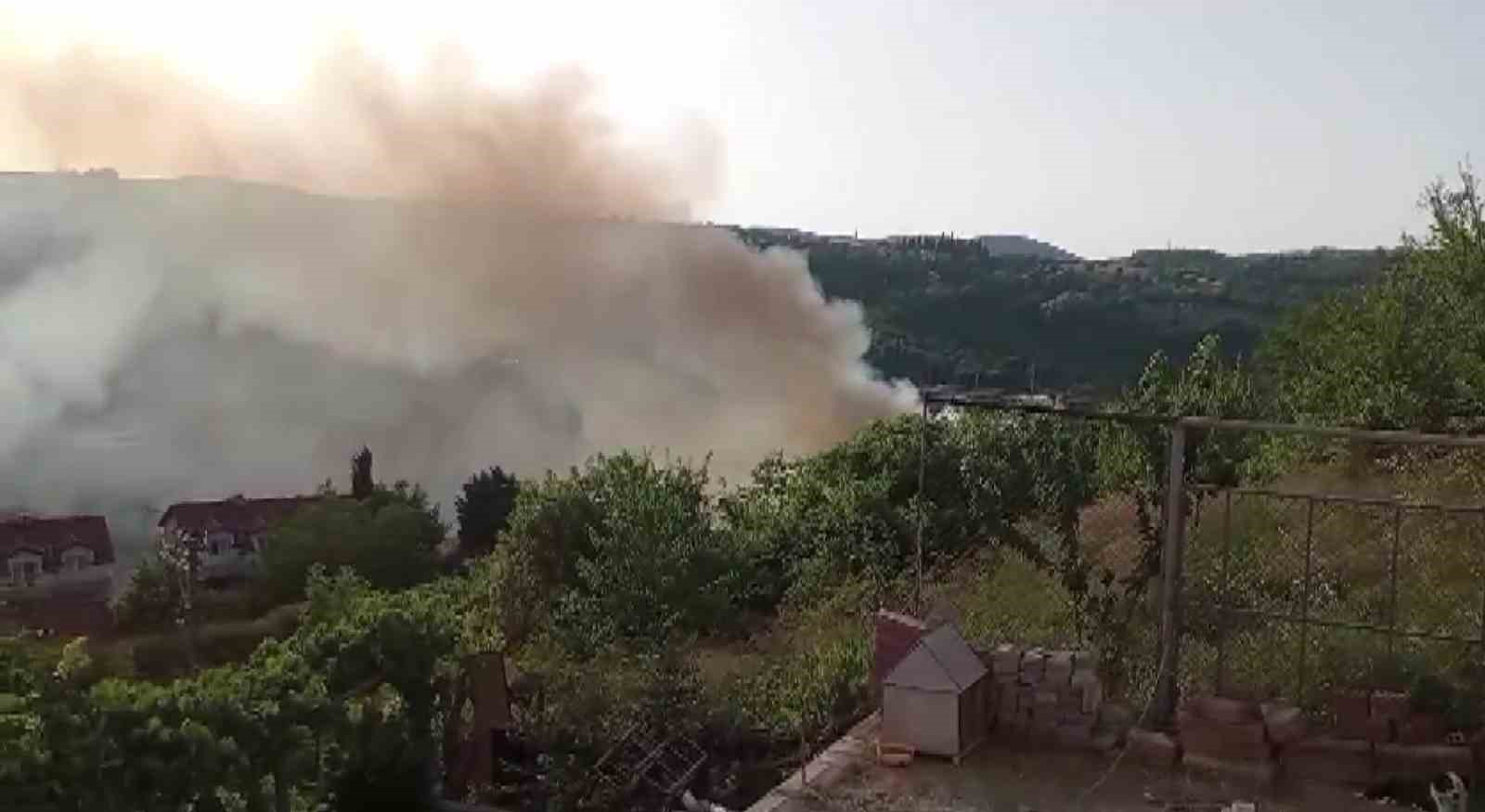 20240702aw238774 0.jpg