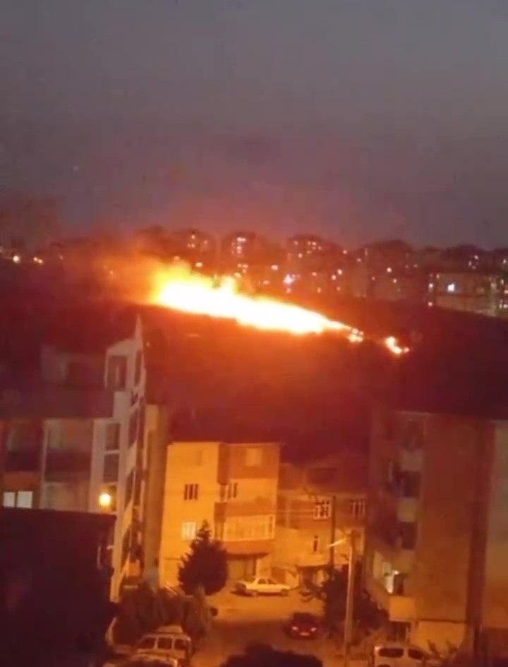 20240704aw239839 0.jpg