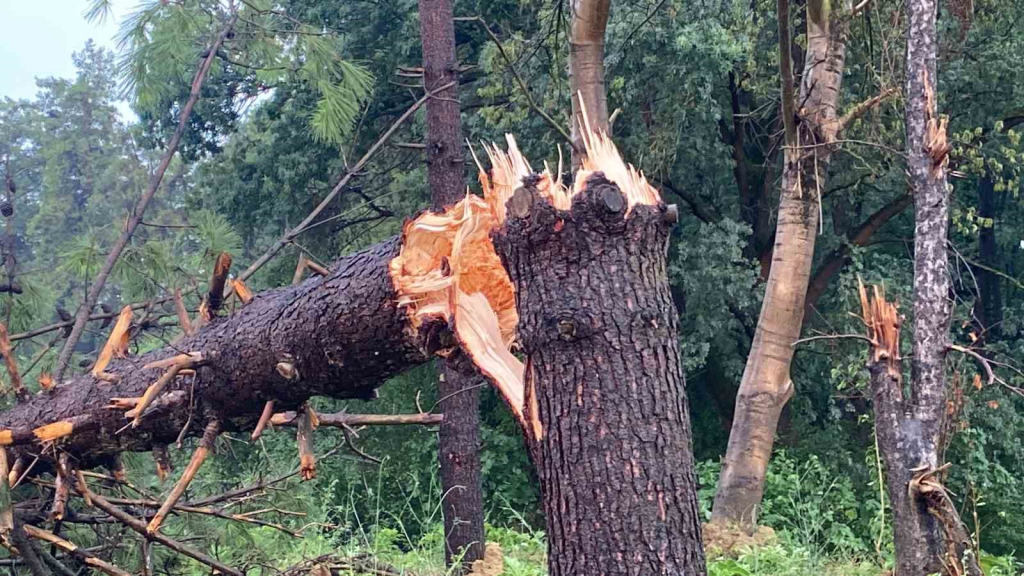 20240710aw244092 0.jpg