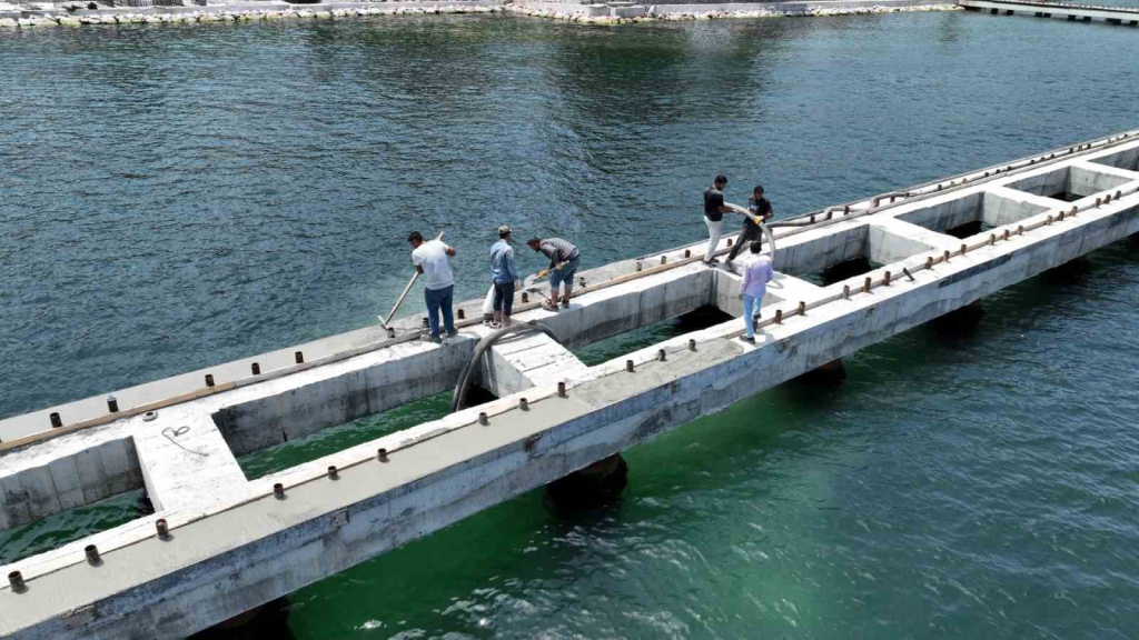 20240711aw244529 0.jpg