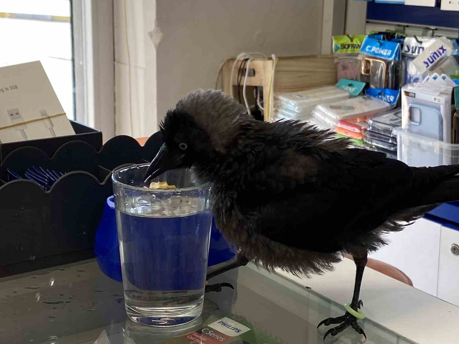 20240712aw245158 0.jpg