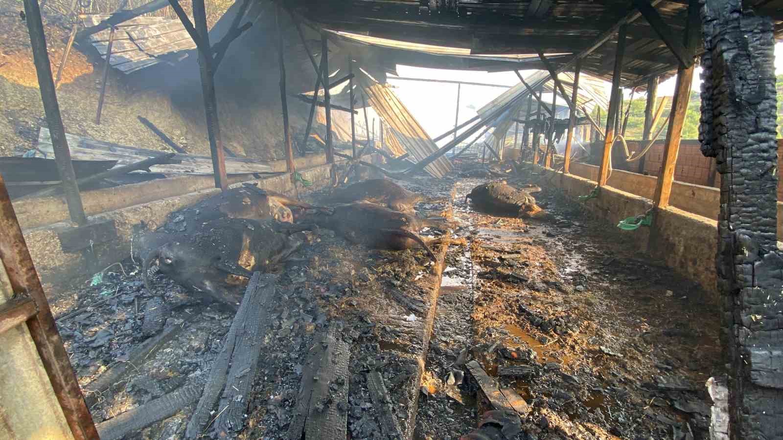 20240720aw250697 0.jpg