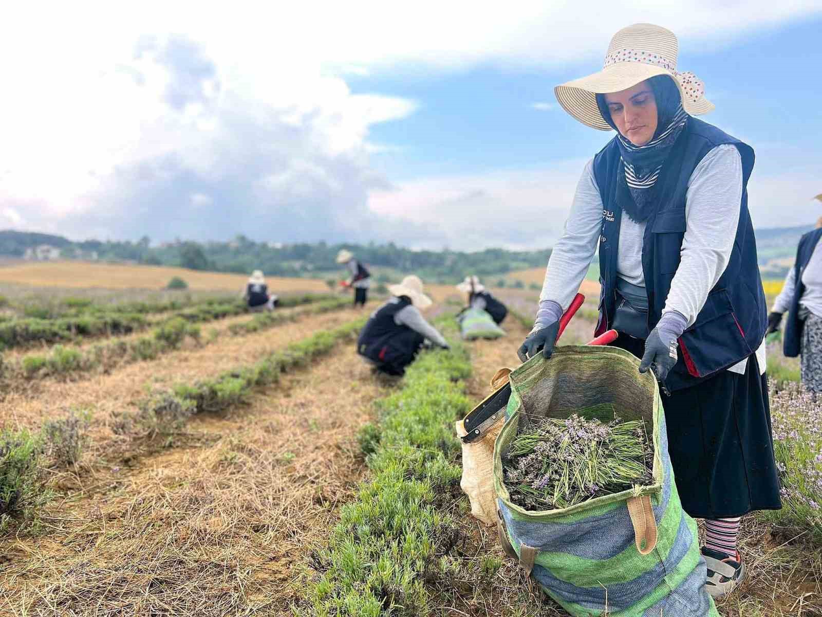 20240720aw250746 0.jpg