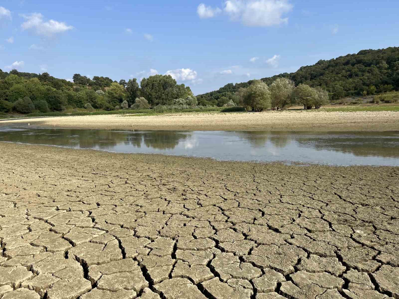 20240720aw251108 0.jpg