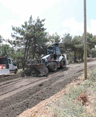 20240726aw254948 0.jpg