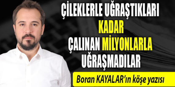 Çalınan çileklerle uğraştıkları kadar MESEM’de çalınan milyonlarla uğraşmadılar
