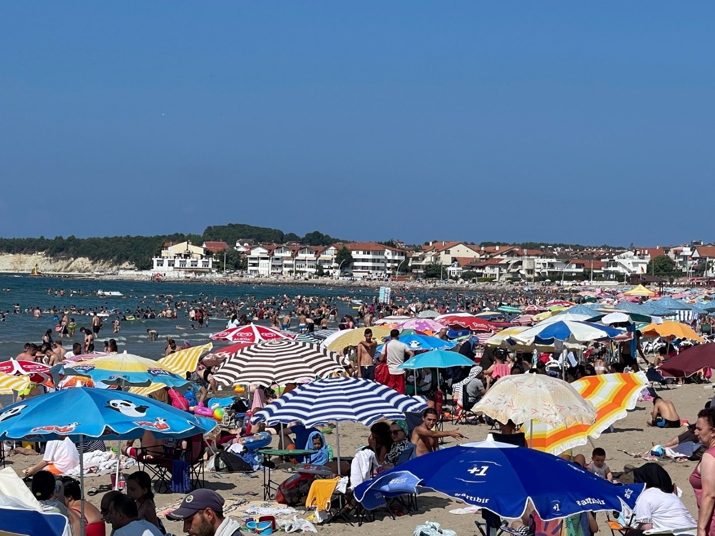 20240805aw261271 0.jpg