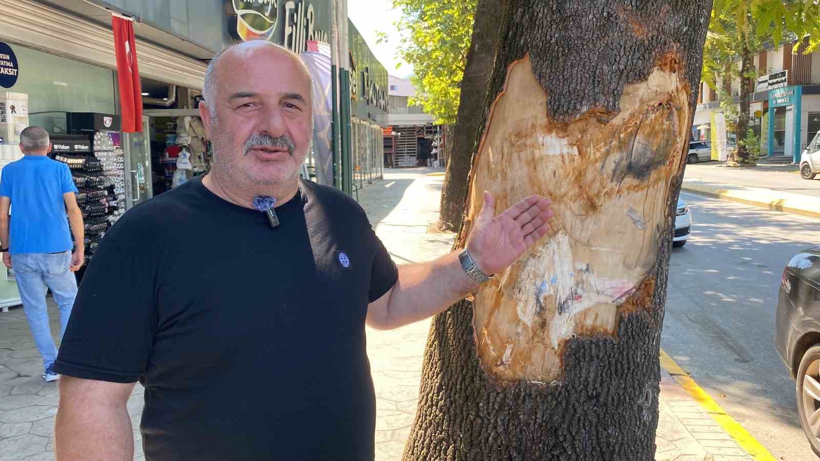 20240806aw262018 0.jpg