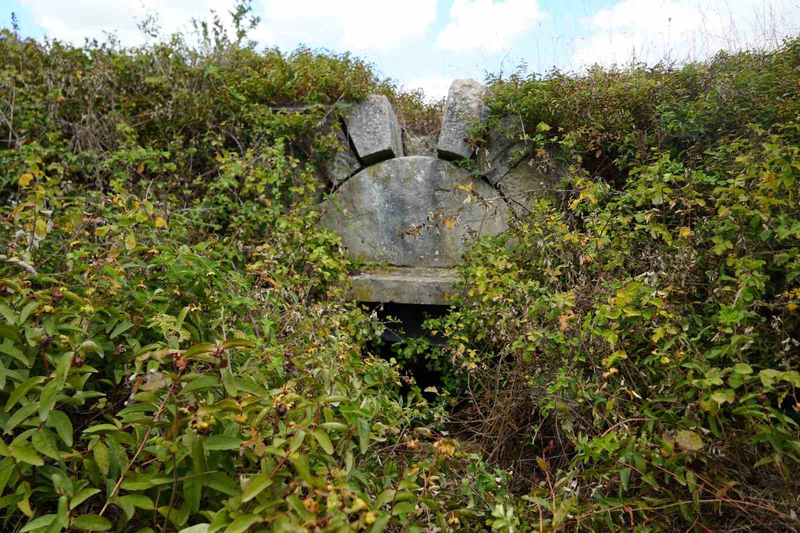 20240811aw264967 0.jpg