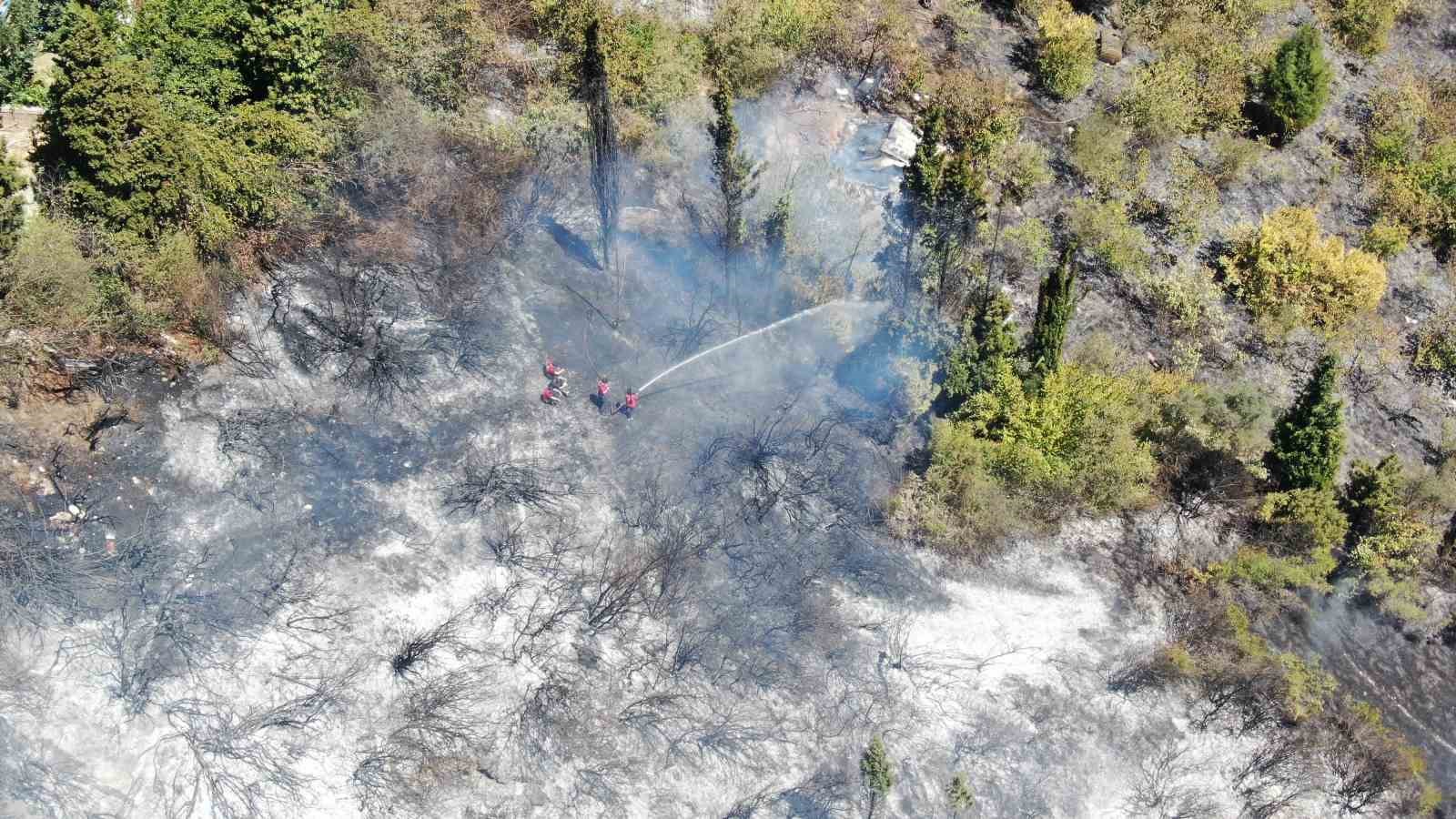 20240816aw268685 0.jpg