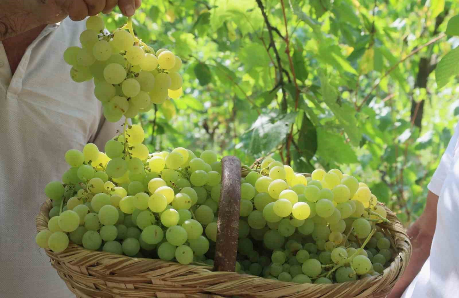 20240825aw273939 0.jpg