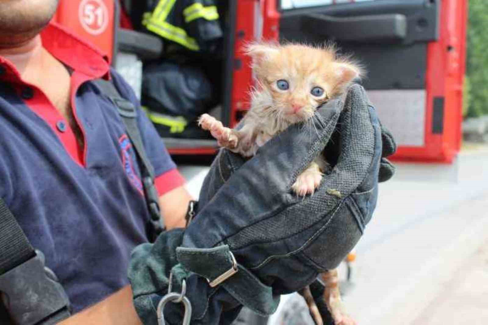 20240903aw280043 0.jpg