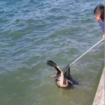 20240904aw280706 0.jpg