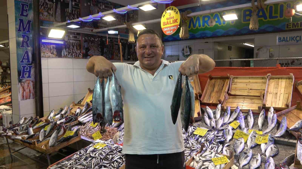 20240905aw281178 0.jpg