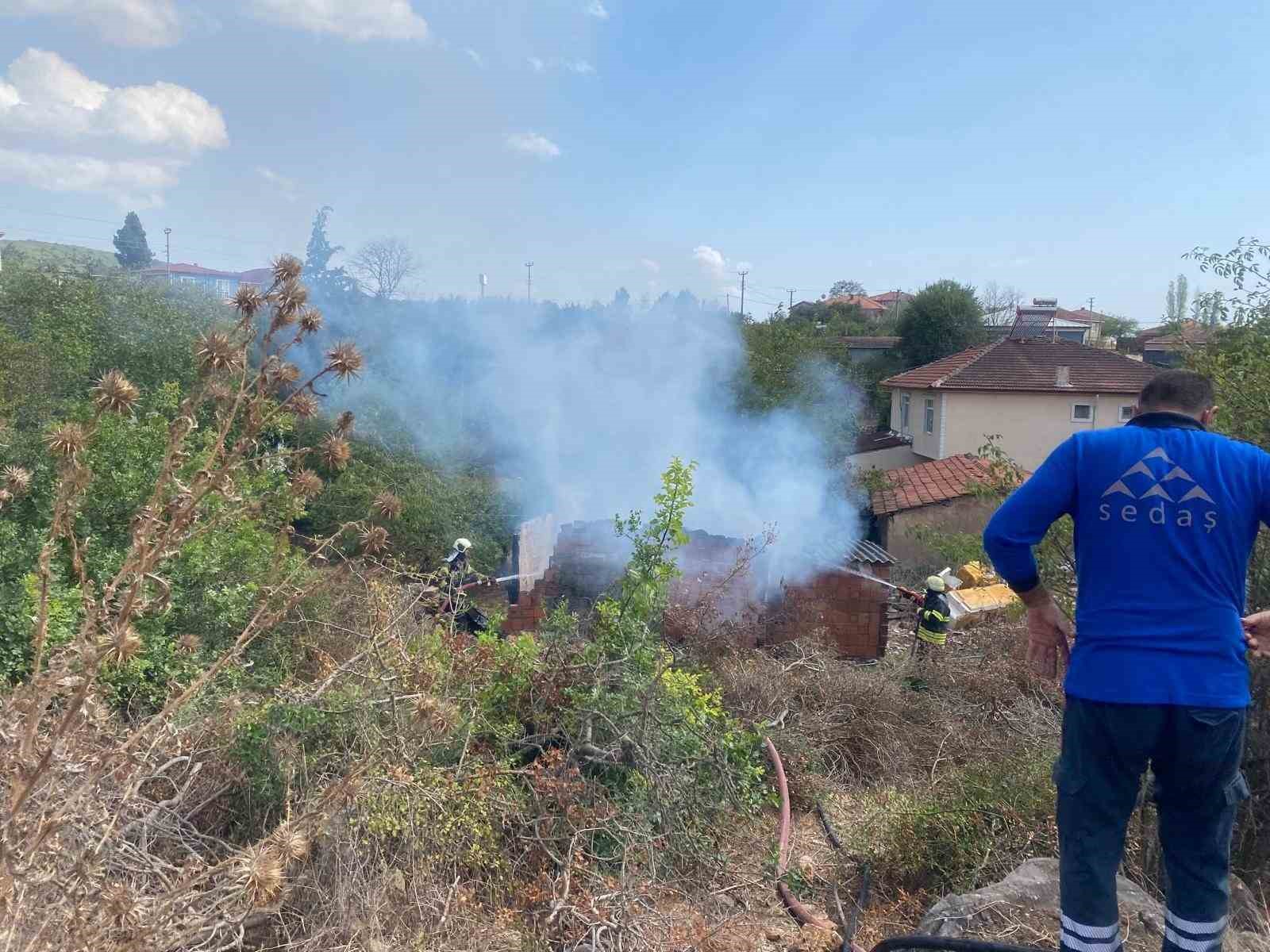 20240905aw281653 0.jpg