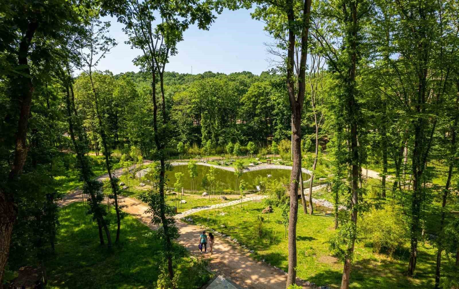 20240911aw285179 0.jpg