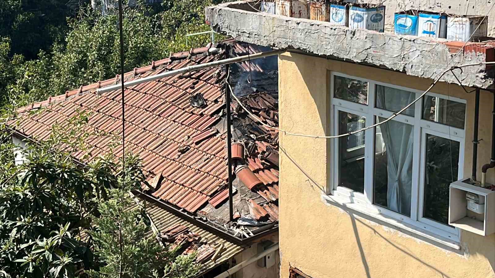 20240914aw287506 0.jpg