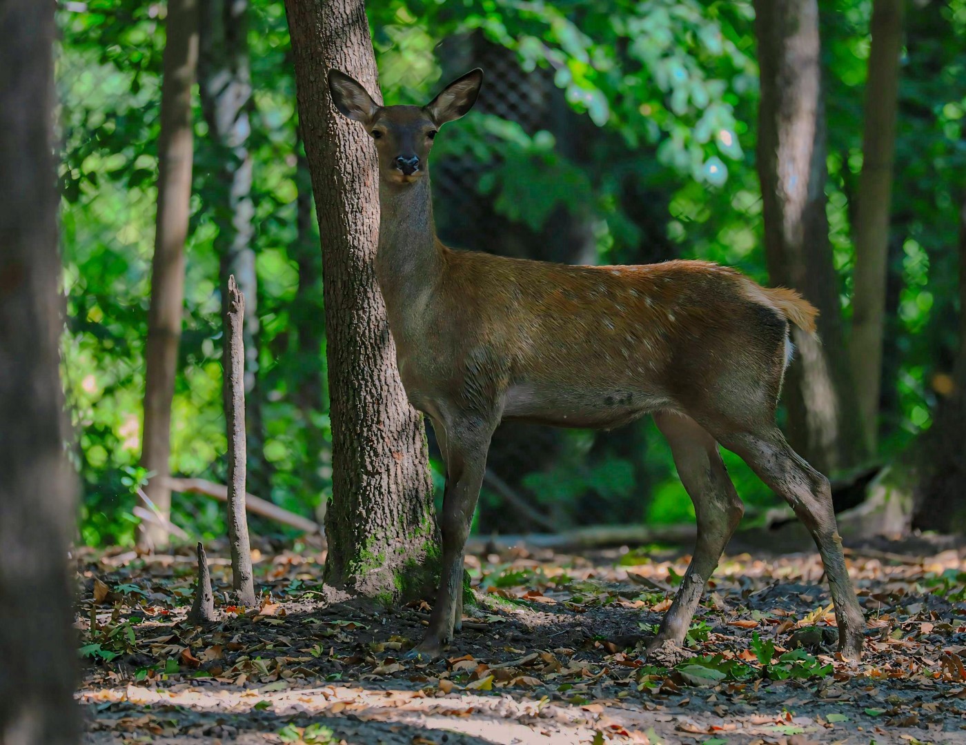 20240917aw289274 0.jpg