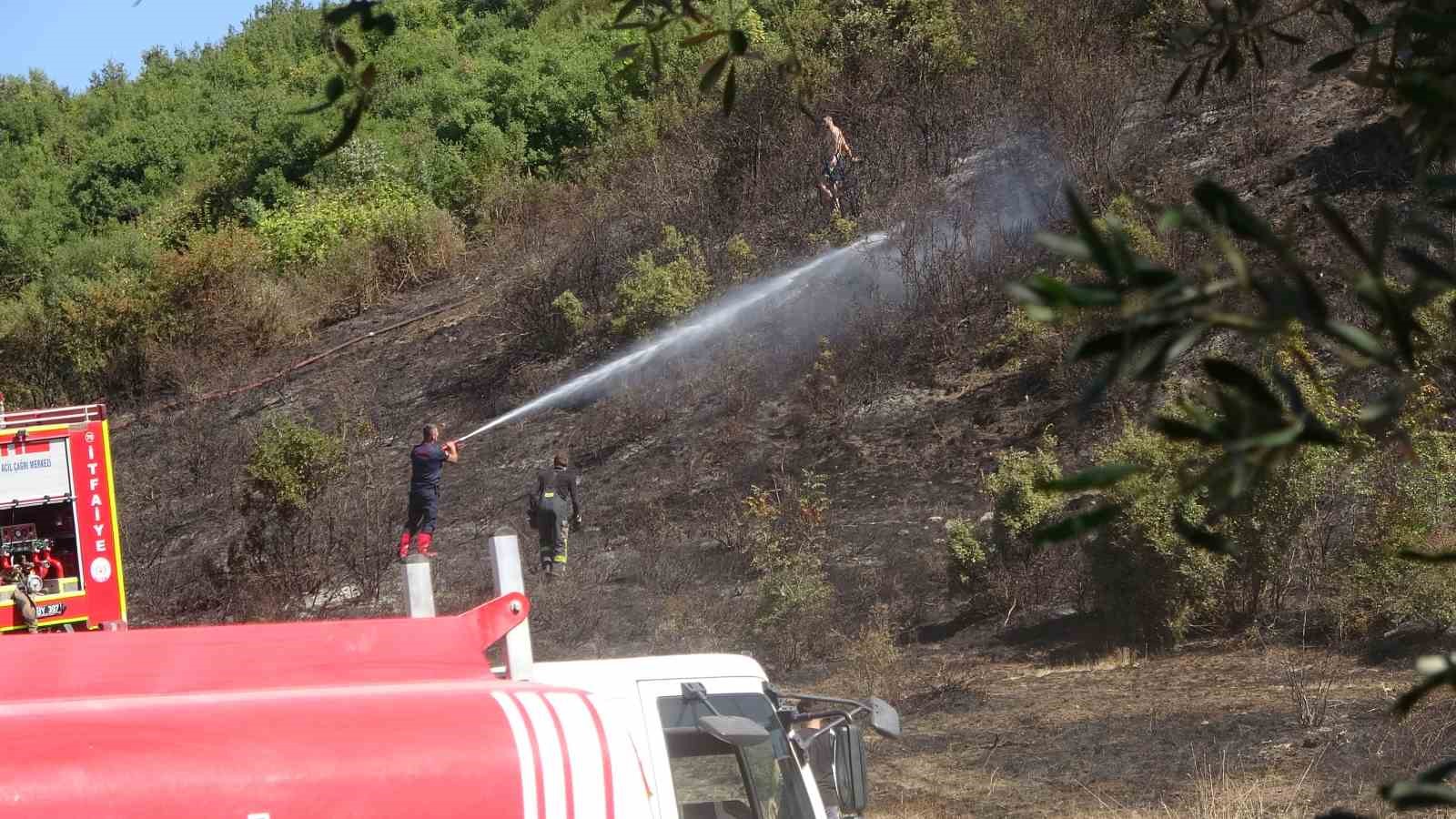 20240924aw294143 0.jpg