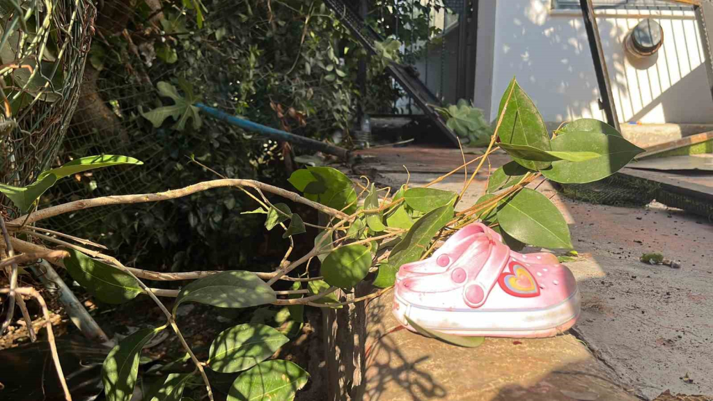 20240925aw294606 0.jpg