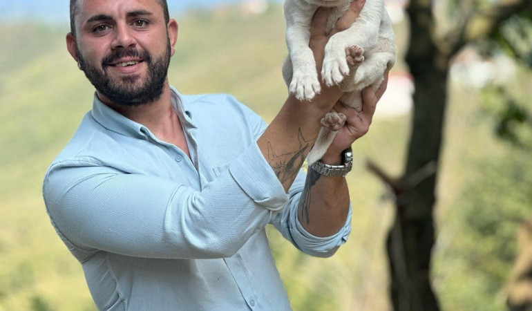 BELEDİYE BAŞKANININ YEĞENİ TRAFİK KAZASINDA HAYATINI KAYBETTİ