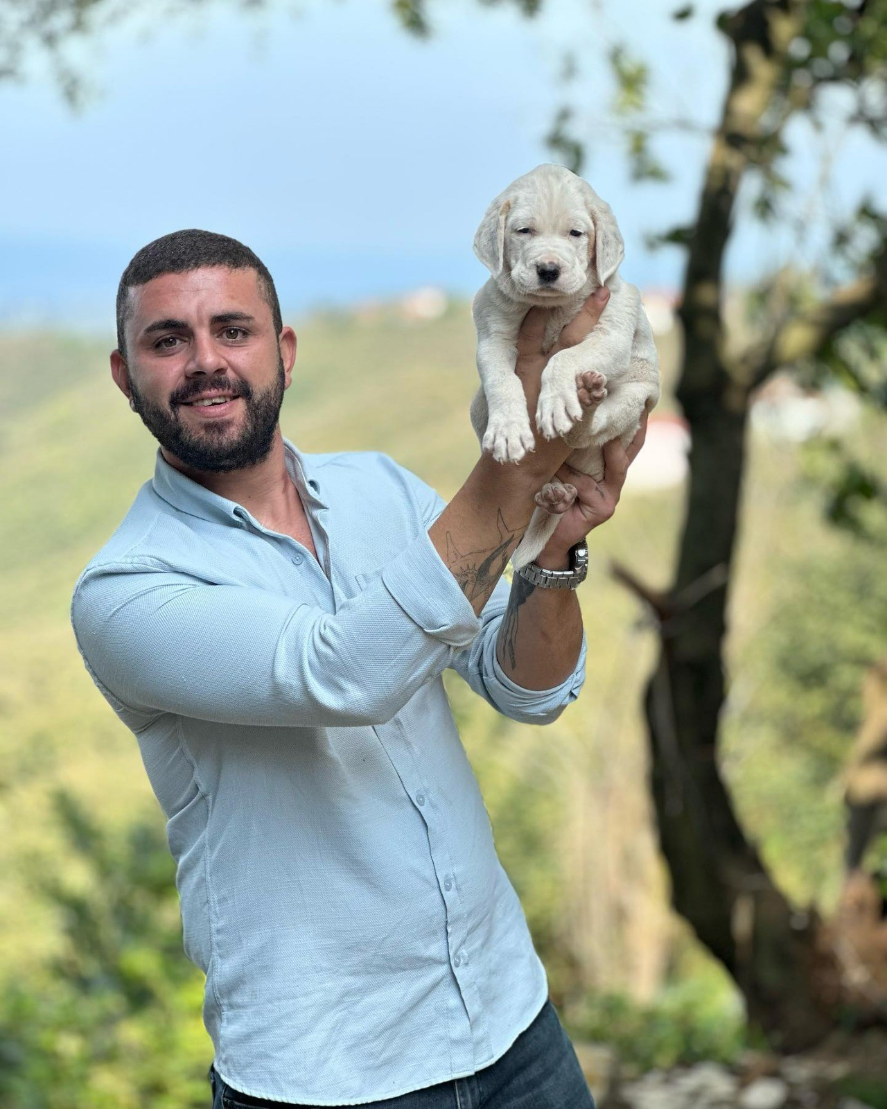 BELEDİYE BAŞKANININ YEĞENİ TRAFİK KAZASINDA HAYATINI KAYBETTİ