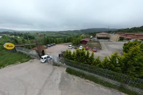 Şok İddia Kocaeli Büyükşehir Belediyesi sokak hayvanlarına zehirli İlaç mı sıktı