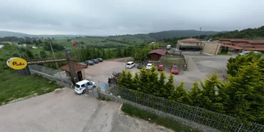 Şok İddia Kocaeli Büyükşehir Belediyesi sokak hayvanlarına zehirli İlaç mı sıktı