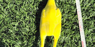 20241004aw301091 0.jpg