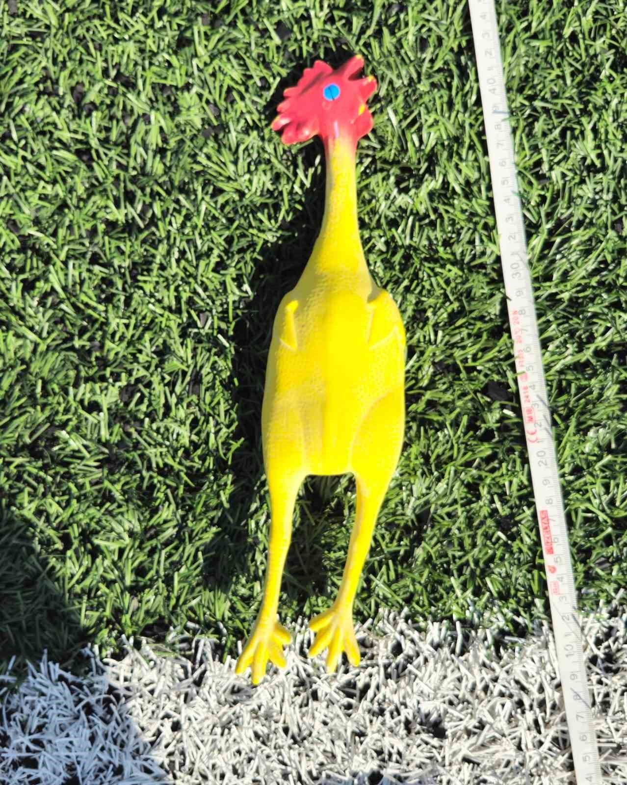 20241004aw301091 0.jpg