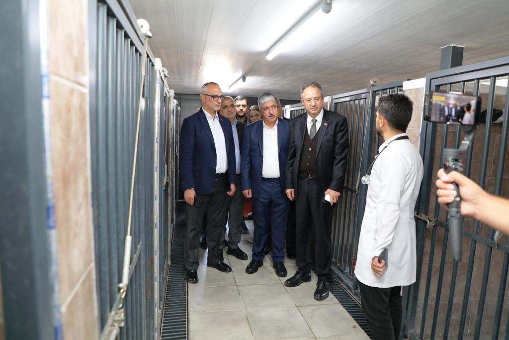 20241004aw301333 0.jpg