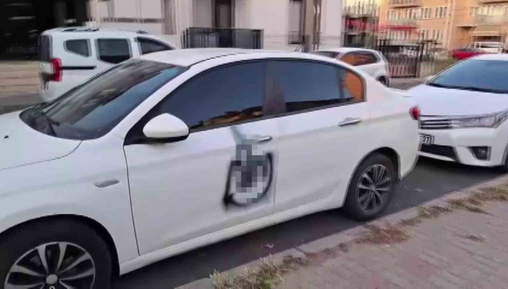 20241005aw301800 0.jpg