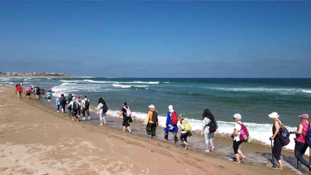 20241005aw301856 0.jpg