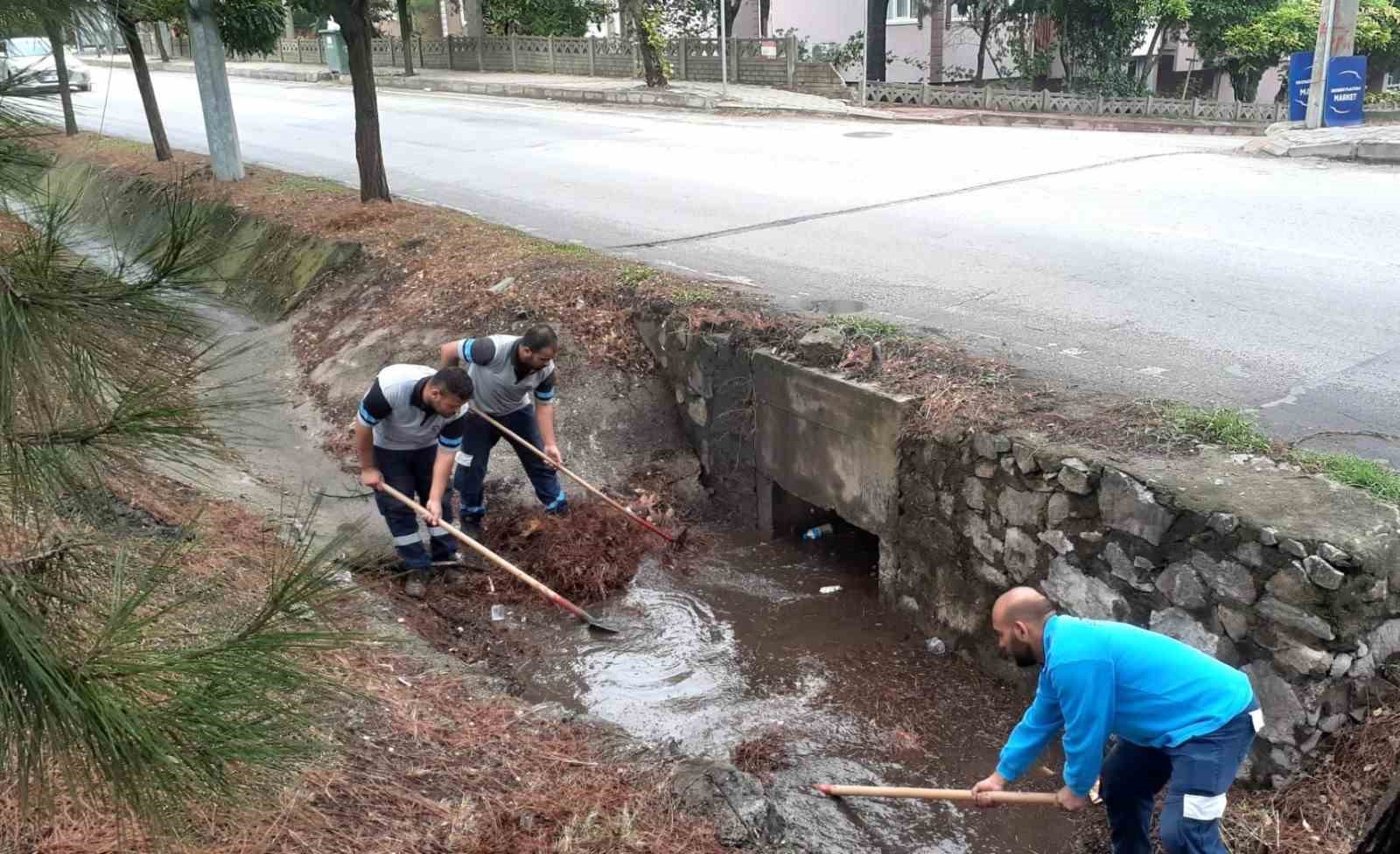 20241009aw304533 0.jpg