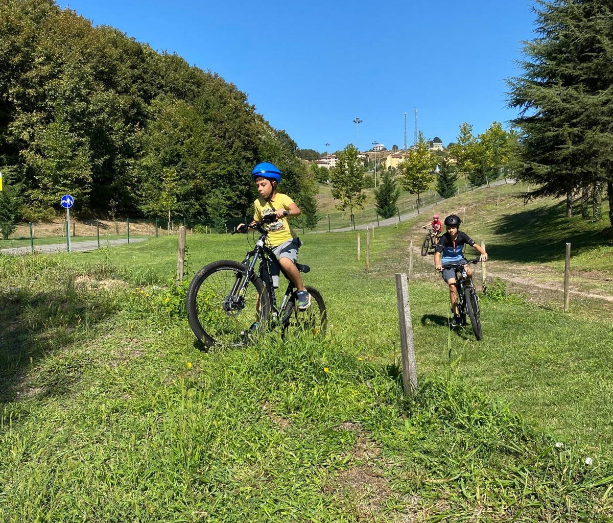 20241011aw306355 0.jpg