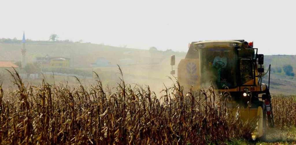 20241013aw307097 0.jpg