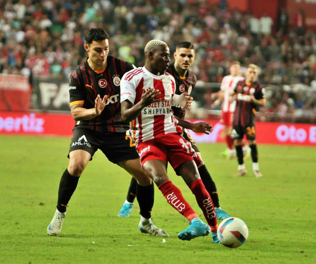 20241019aw311889 0.jpg