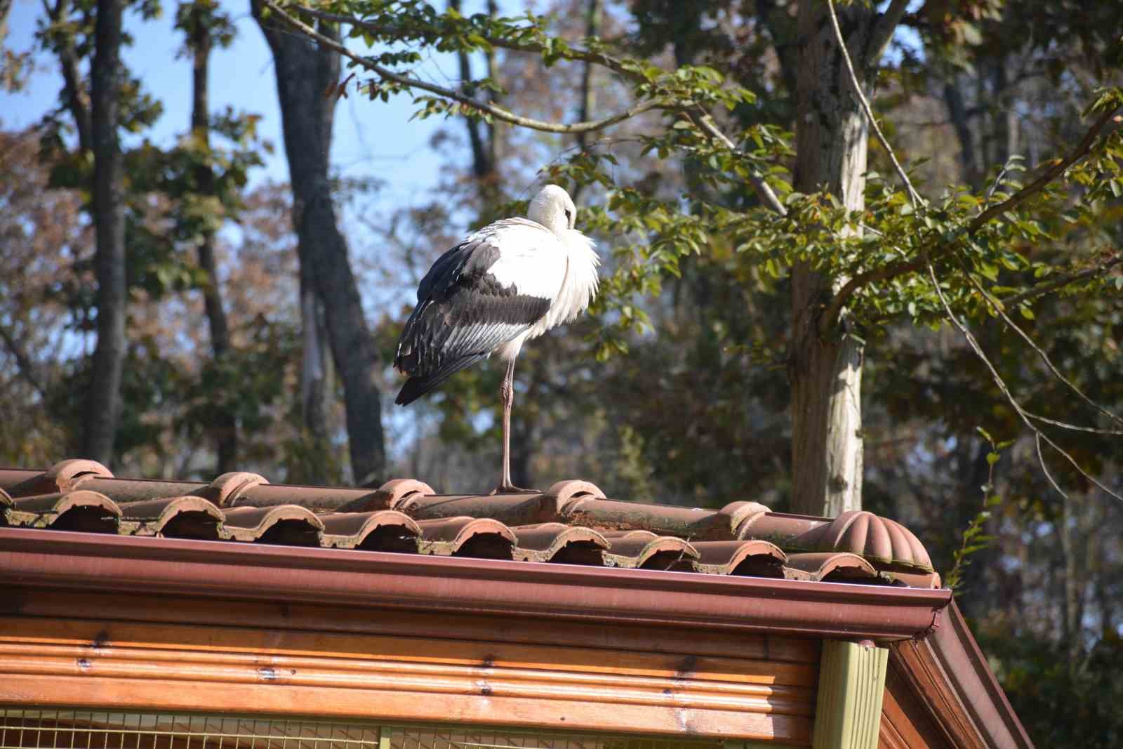 20241020aw311993 0.jpg