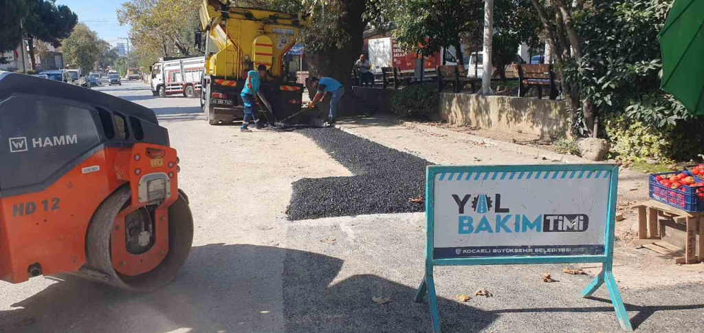 20241020aw311995 0.jpg