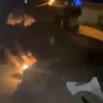 20241020aw312176 0.jpg