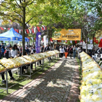 20241021aw312650 0.jpg