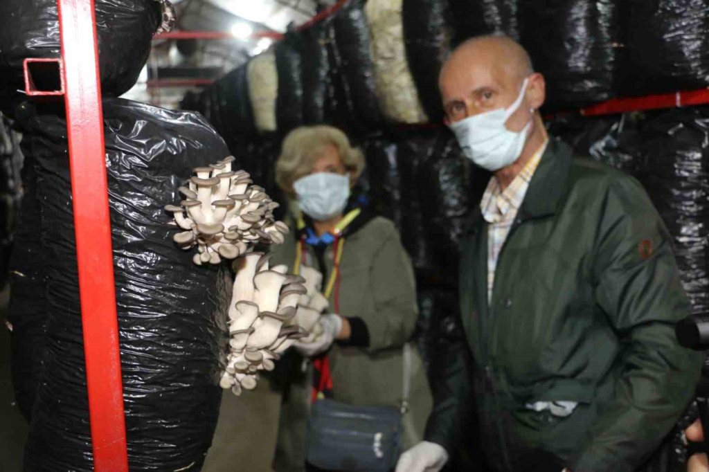 20241021aw312876 0.jpg